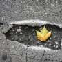 Potholes are annoying and dangerous: Now they're political