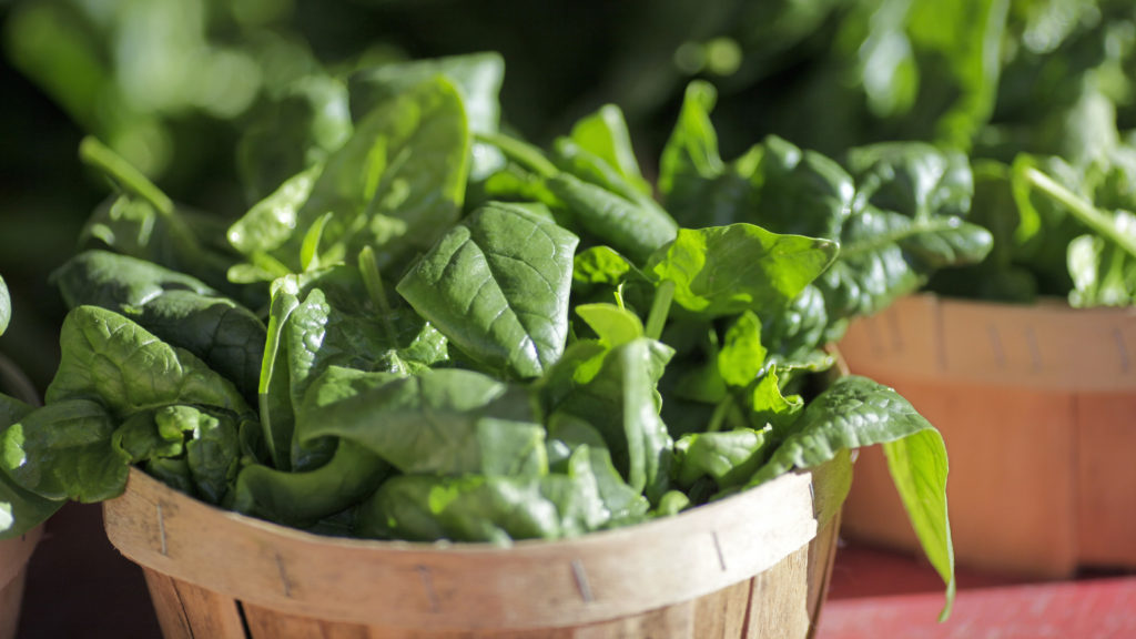 STAT+: FDA takes another look at botanical drugs