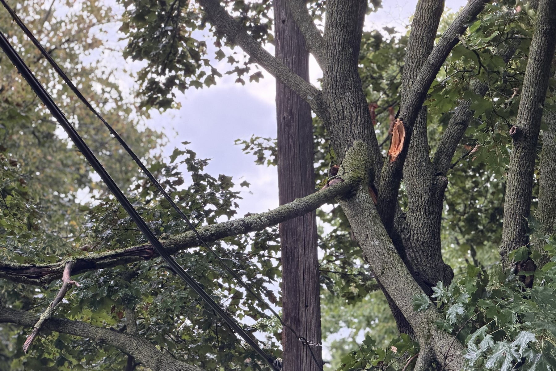 Thousands still without power across Washtenaw, Livingston counties
