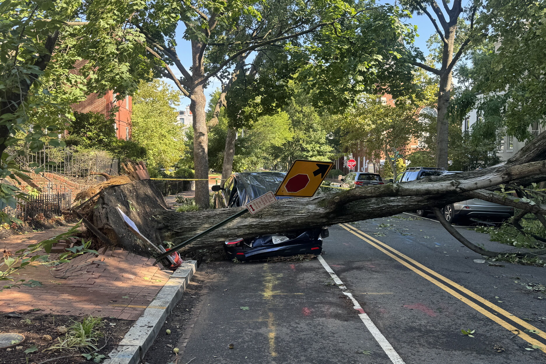 Powerful Storm Brings Down Trees and Power Lines Across D.C.