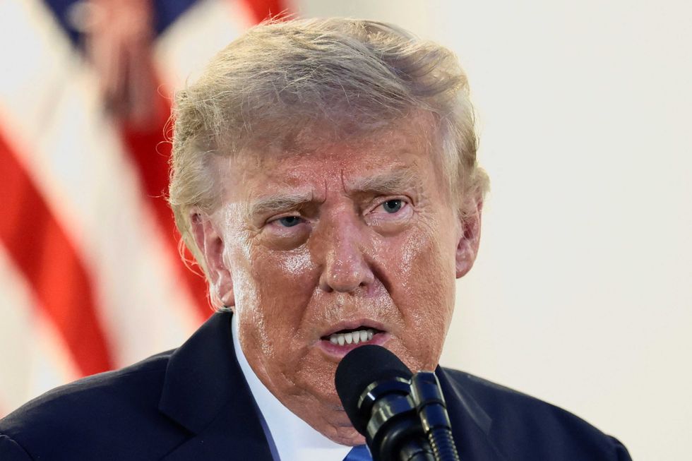 'Proof' Trump 'secretly' wants Republicans to lose the midterms