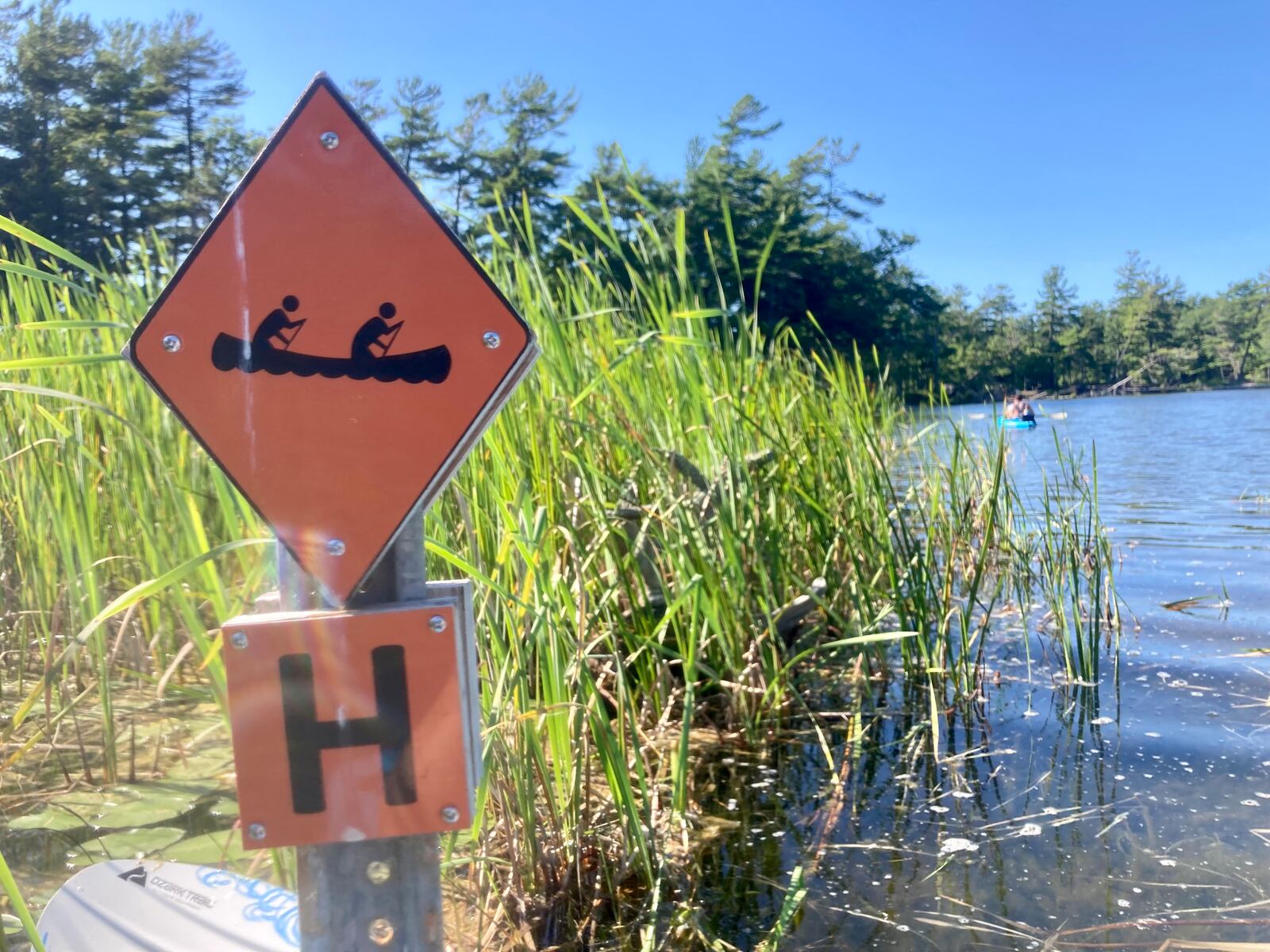 Body of missing Mason County fisherman, 68, recovered from lake