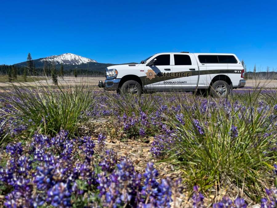 Roseburg man dies after hitting tree in suspected DUII crash: Deputies
