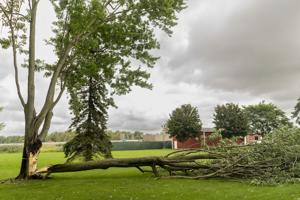NWS Buffalo confirms three tornadoes struck Wednesday