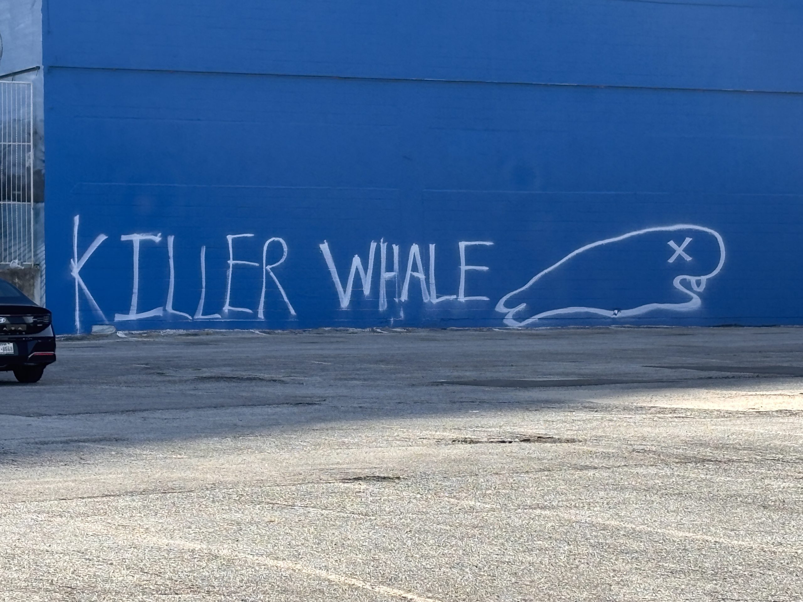 Dallas Whaling Wall has new whale artwork