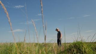 Farmers turn to perennial grains as one solution to extreme weather