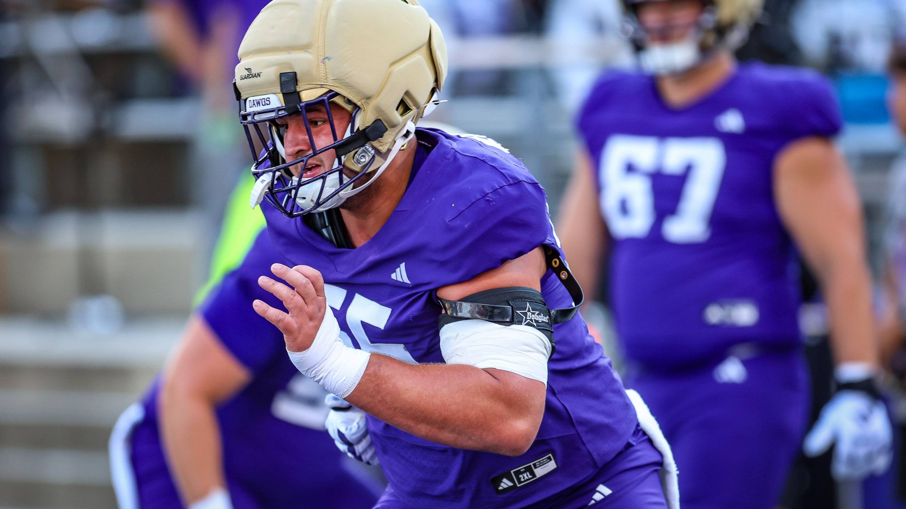 Why Huskies Depend So Much On Kolt Dieterich