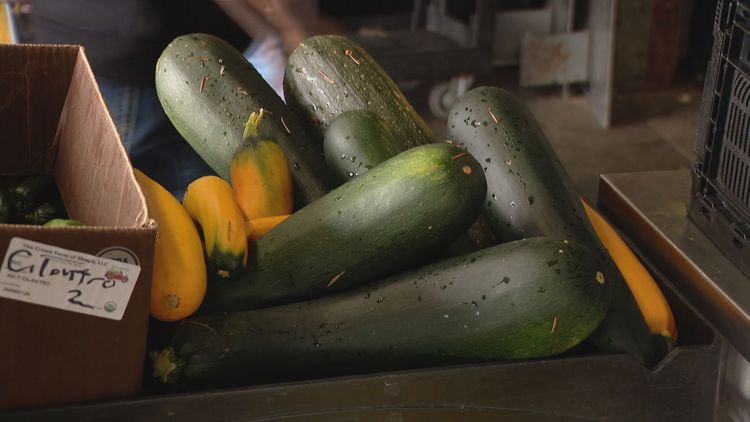 ICE activity rattles Skagit County farms as migrant families pull back from food assistance