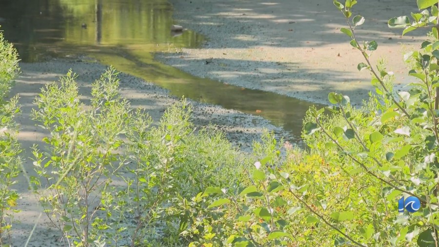 Virginia Beach residents plead for city to dredge and maintain waterway near Mt. Trashmore