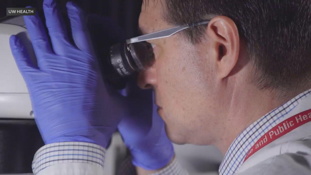 Oak Park boy's death spurs UW-Madison scientist's work on treatment for rare brain cancer