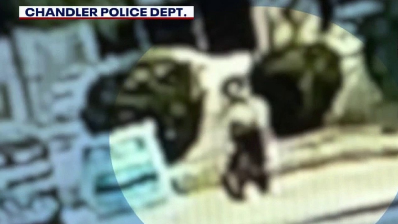 Chandler e-bike crashes prompt increased police enforcement