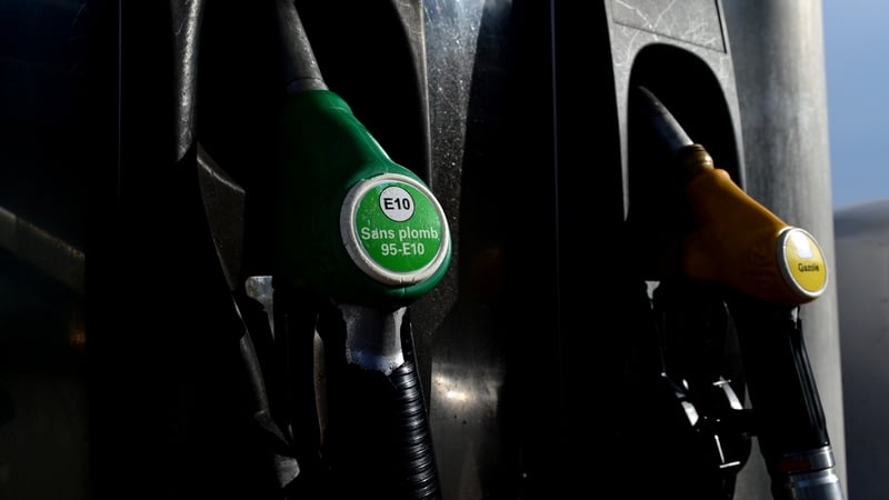 Fuel supports among main topics of IRHA annual conference