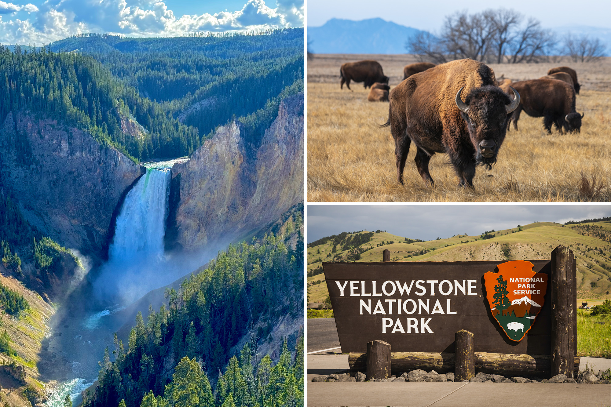 Yellowstone tops list of America’s most Googled national parks — as interest in wild US surges
