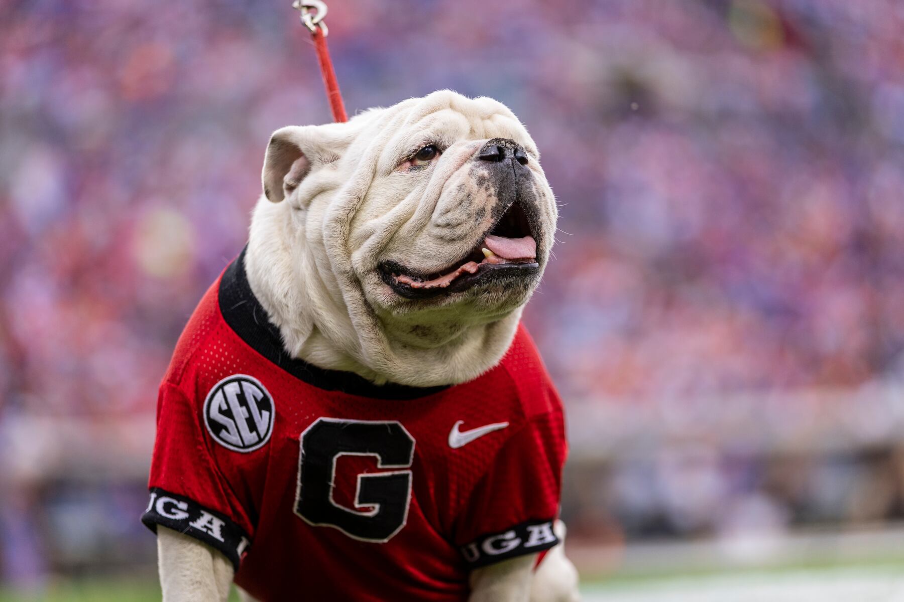 How to watch SEC Network in 2026: TV channel, streaming guide