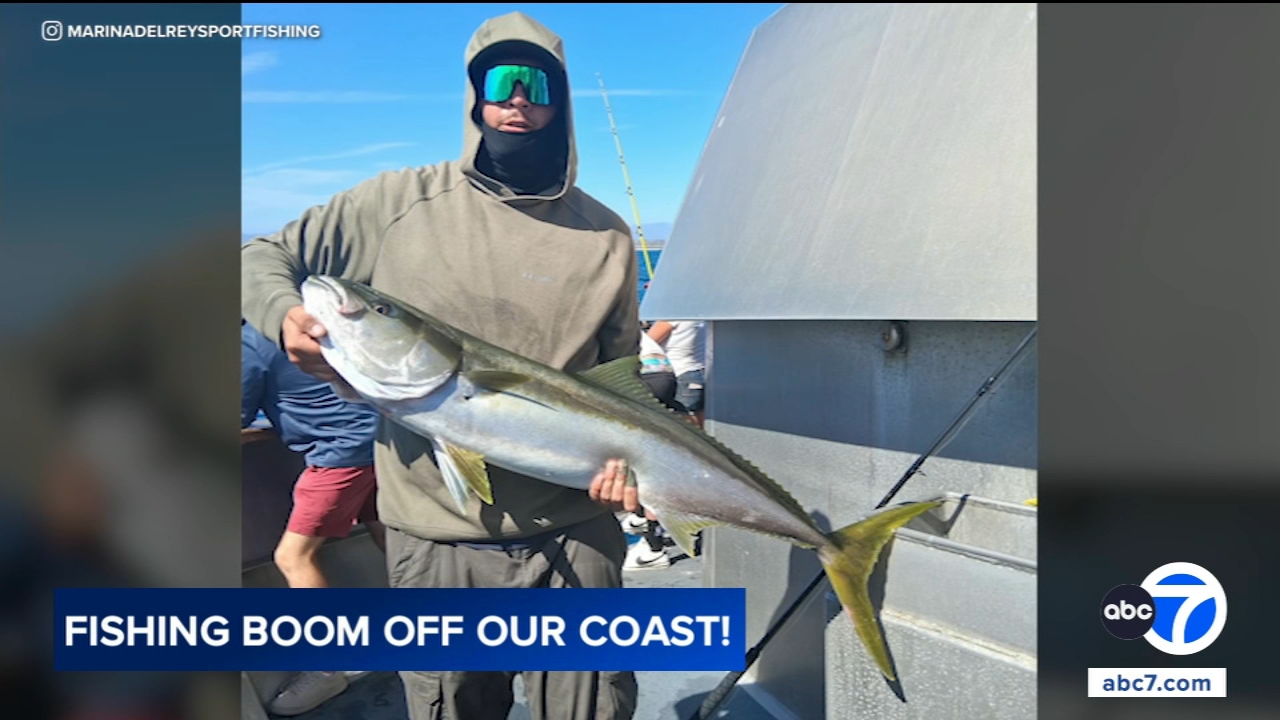 Warm ocean waters bring unusual fishing boom off Southern California coast