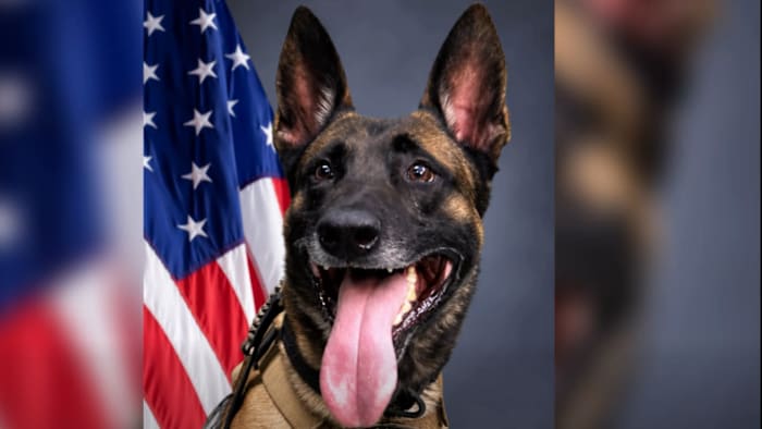 Cocoa Police Department announces death of beloved K9