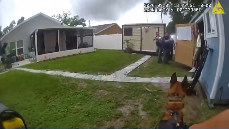 VIDEO: Man accused of fleeing from Hillsborough Co. deputies, hiding in shed
