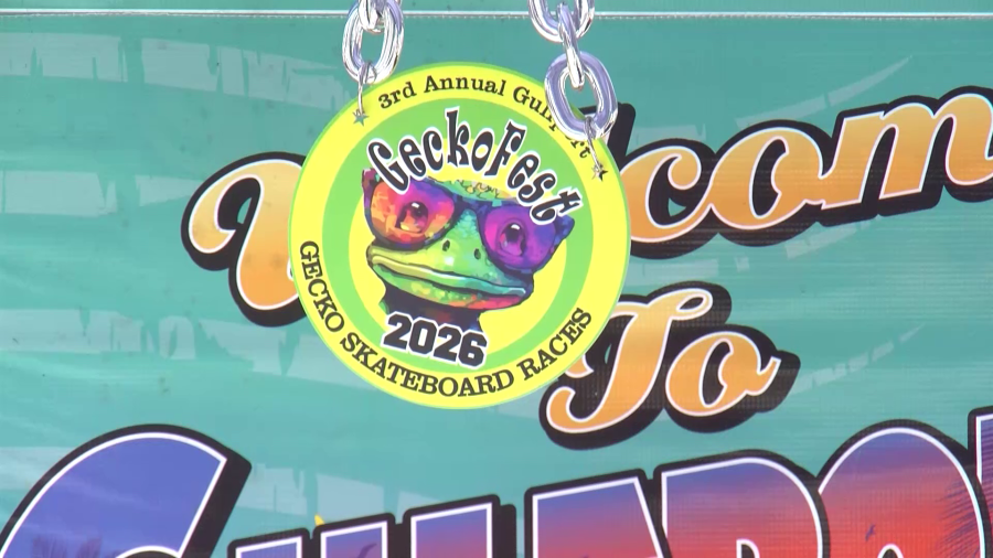 GeckoFest draws crowds to celebrate what makes Gulfport unique