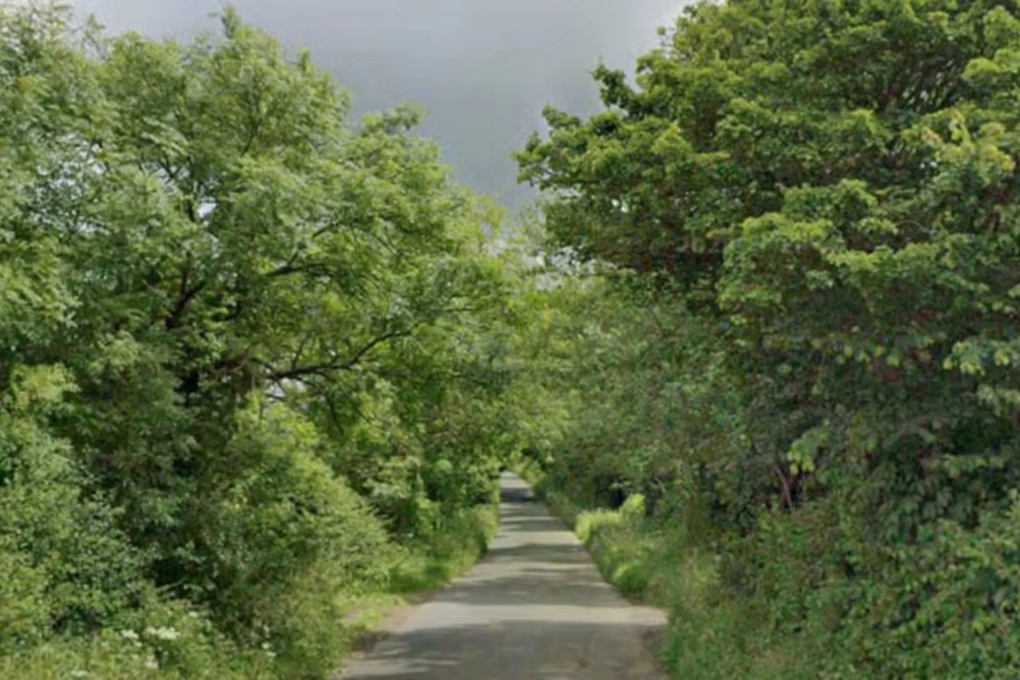 Man, 36, dies after car crashes into tree in Cotswolds