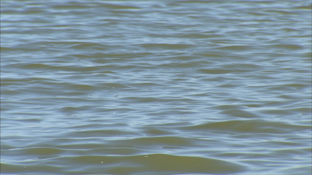Goodhue County drowning: Missing swimmer's body pulled from Cannon River