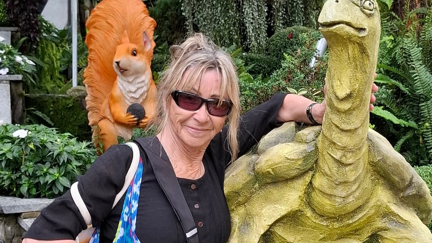 Vietnam wants to grow dental tourism, which has Australian dentists worried