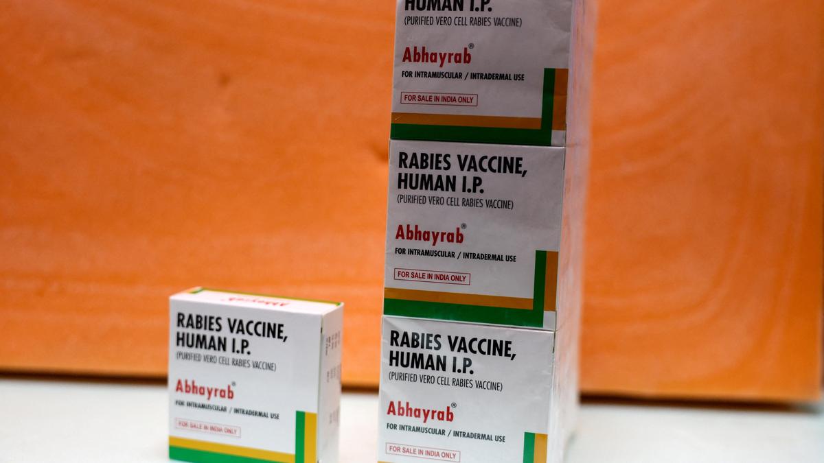 All about the counterfeit ‘Abhayrab’ rabies vaccine batch under investigation