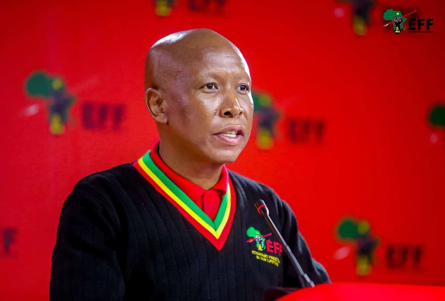 EFF president wants social grants to start at R4 500, promises allowance for unemployed graduates
