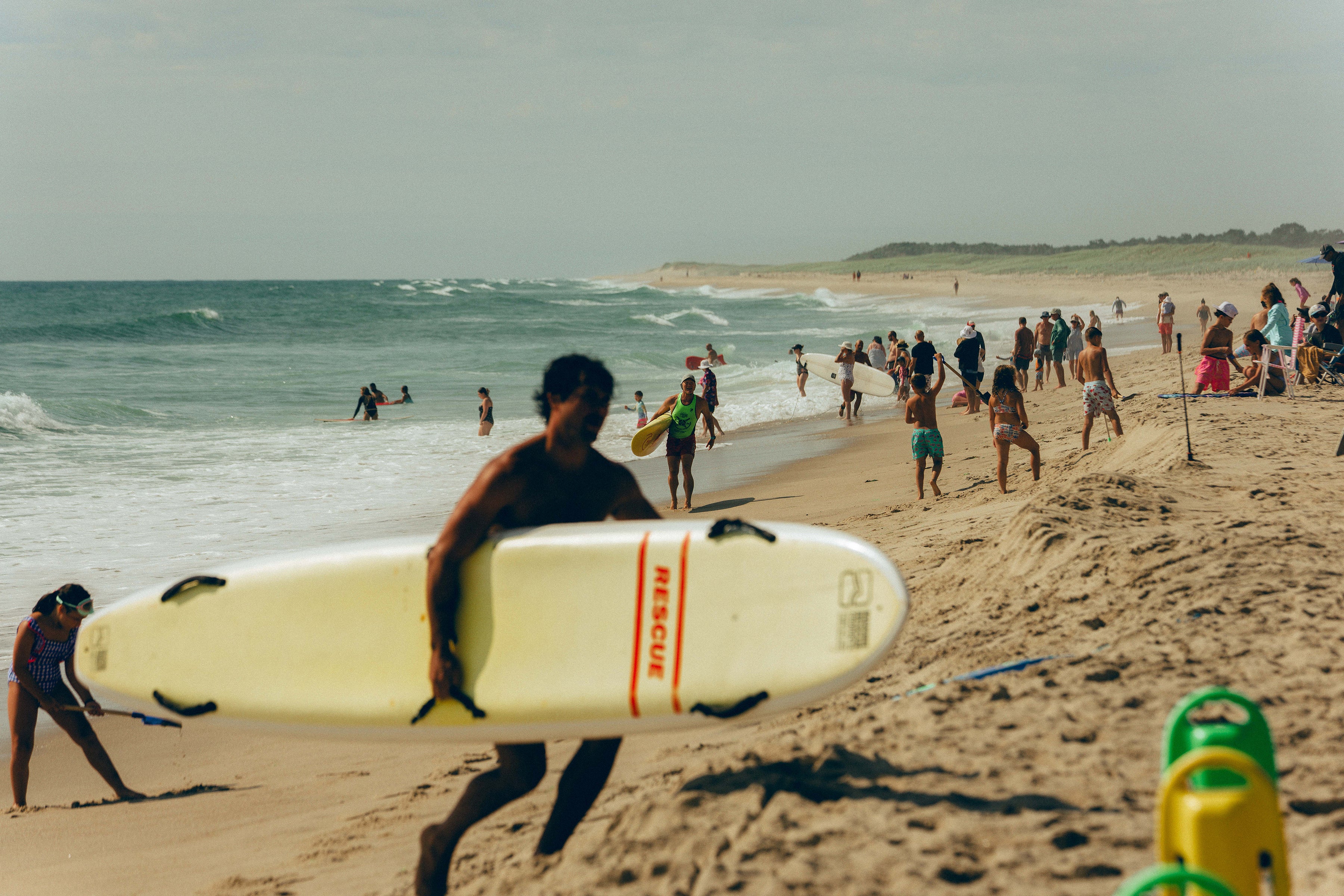 Cape Cod learns to live with sharks