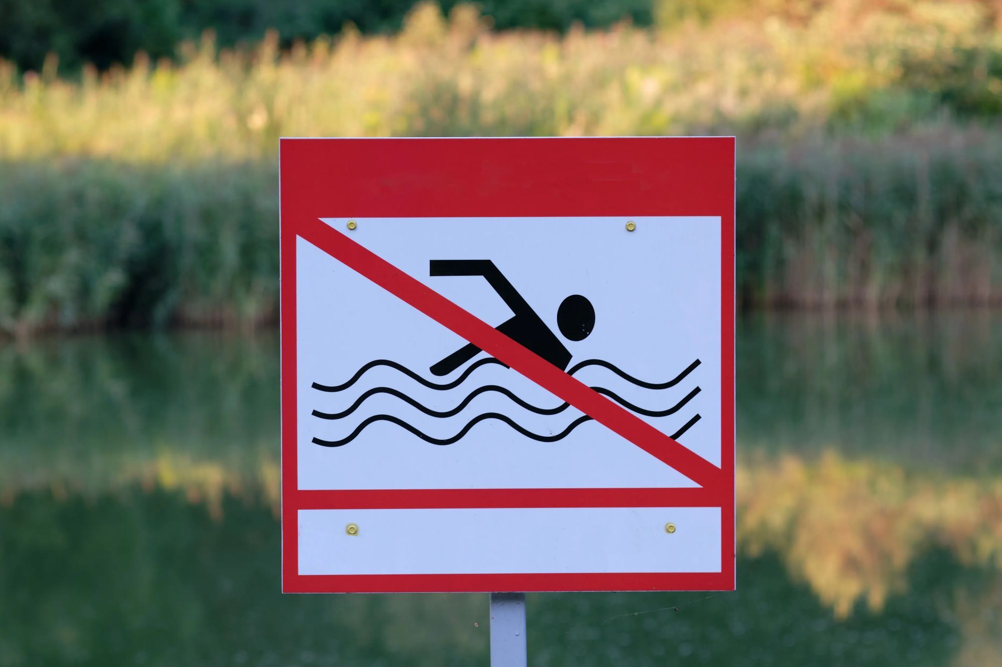 Beachgoers warned to ‘stay out’ as 45 beaches CLOSED in US state over holiday weekend due to harmful bacteria