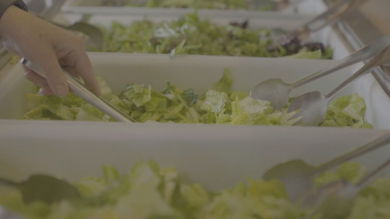 More than 400 Floridians diagnosed with Cyclospora amid lettuce-linked outbreak