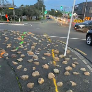 Auckland Transport replaces $8000 rock garden with $26000 landscaped garden