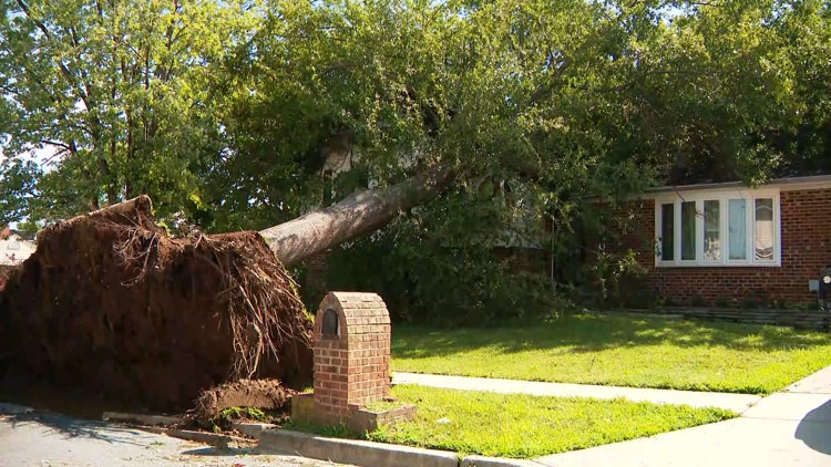 Pepco says power restored after storms knocked out service to more than 76,000
