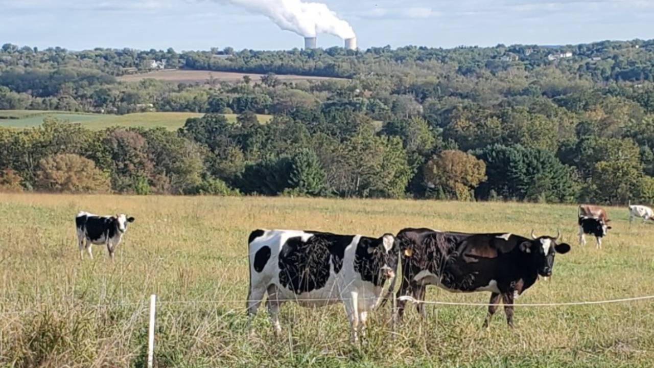 Pennsylvania couple saves 78 acres, blocks 109 homes from being built