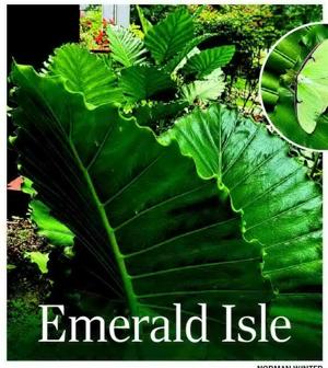 Emerald Isle