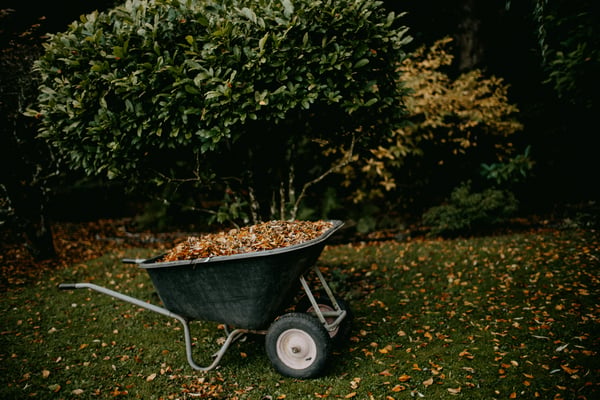 Top things to do to get your home ready for the cozy months