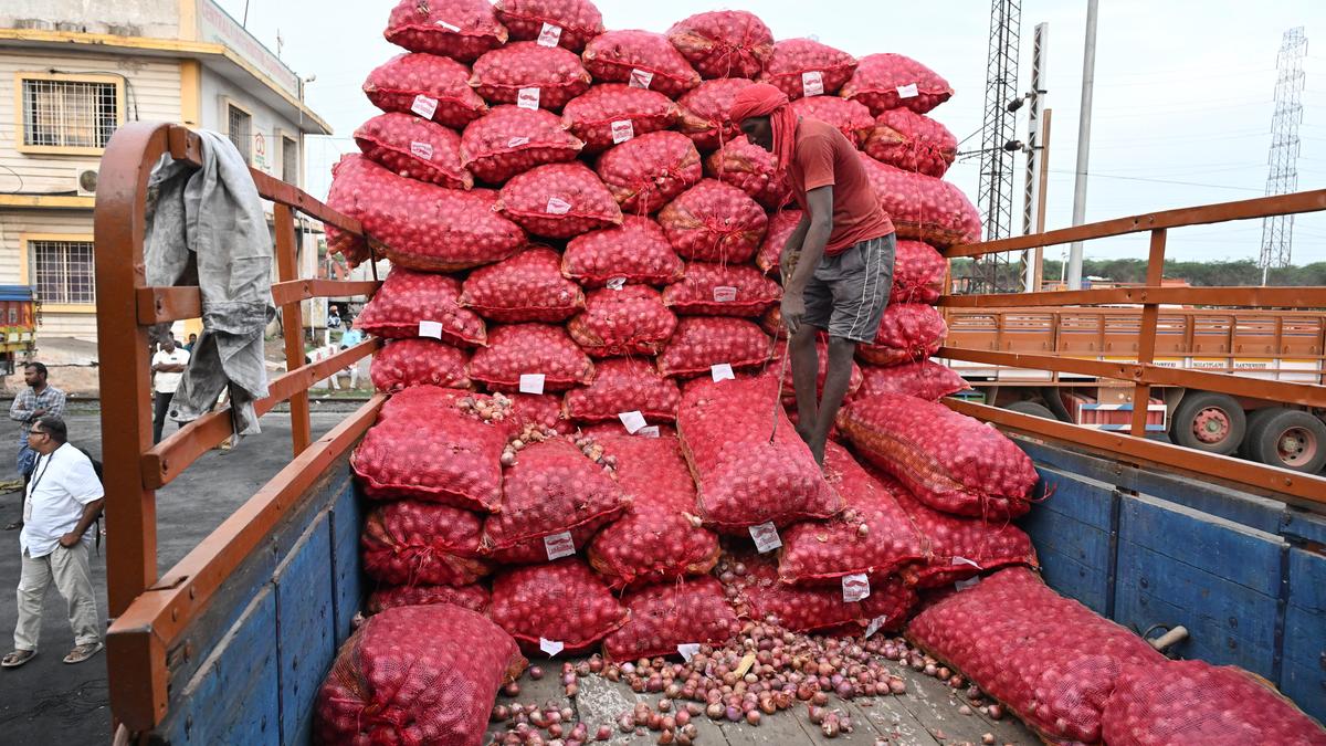 Onion wholesale prices stabilise at Koyambedu market around ₹55 per kg