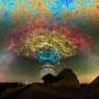 The DESI legacy imaging survey releases the largest 2D map of the universe