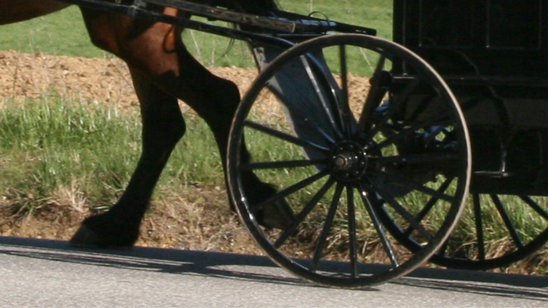 7 injured, horse euthanized after SUV hits horse-drawn buggy