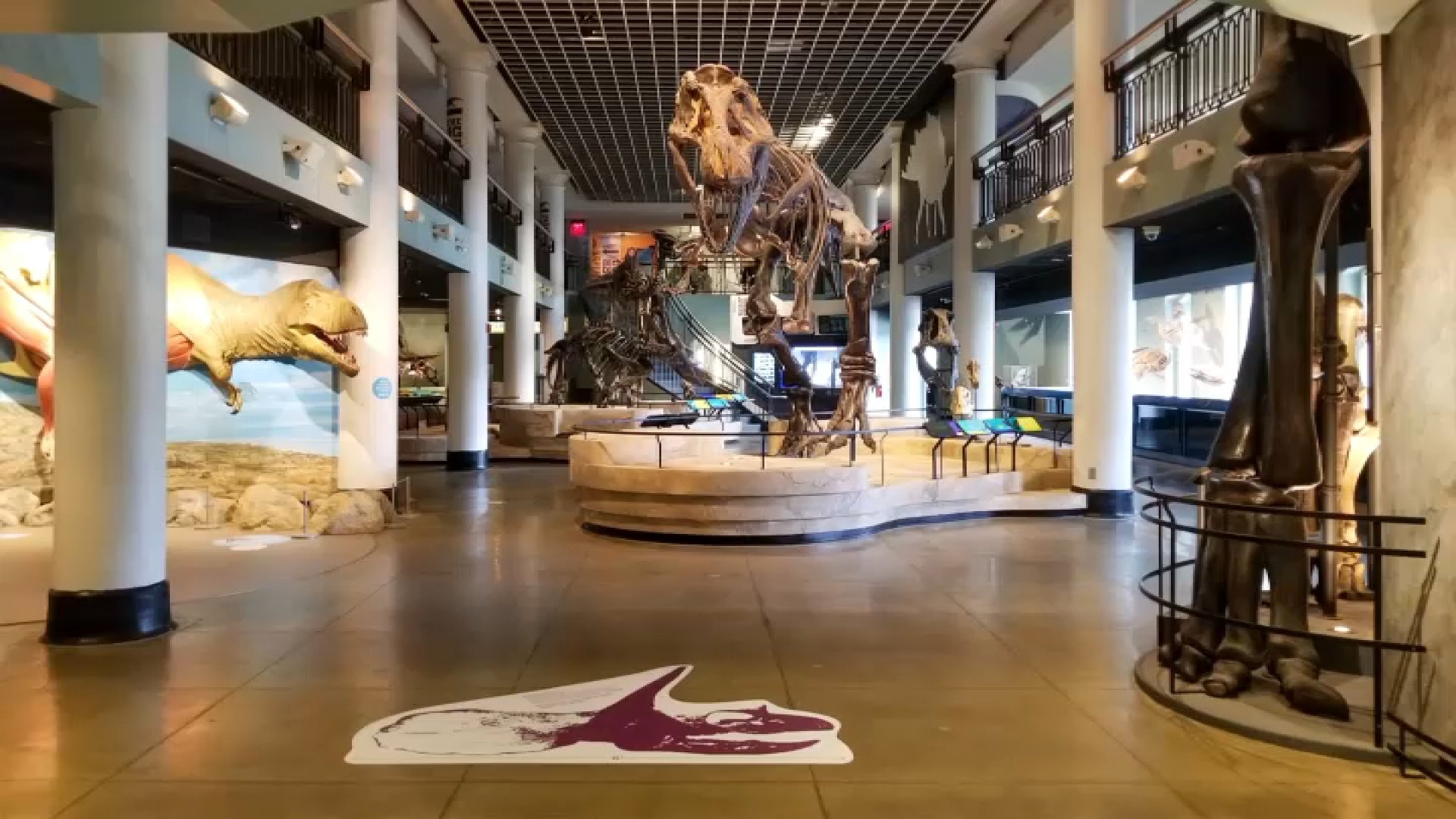 Protesters push to stop Academy of Natural Sciences from closing museum