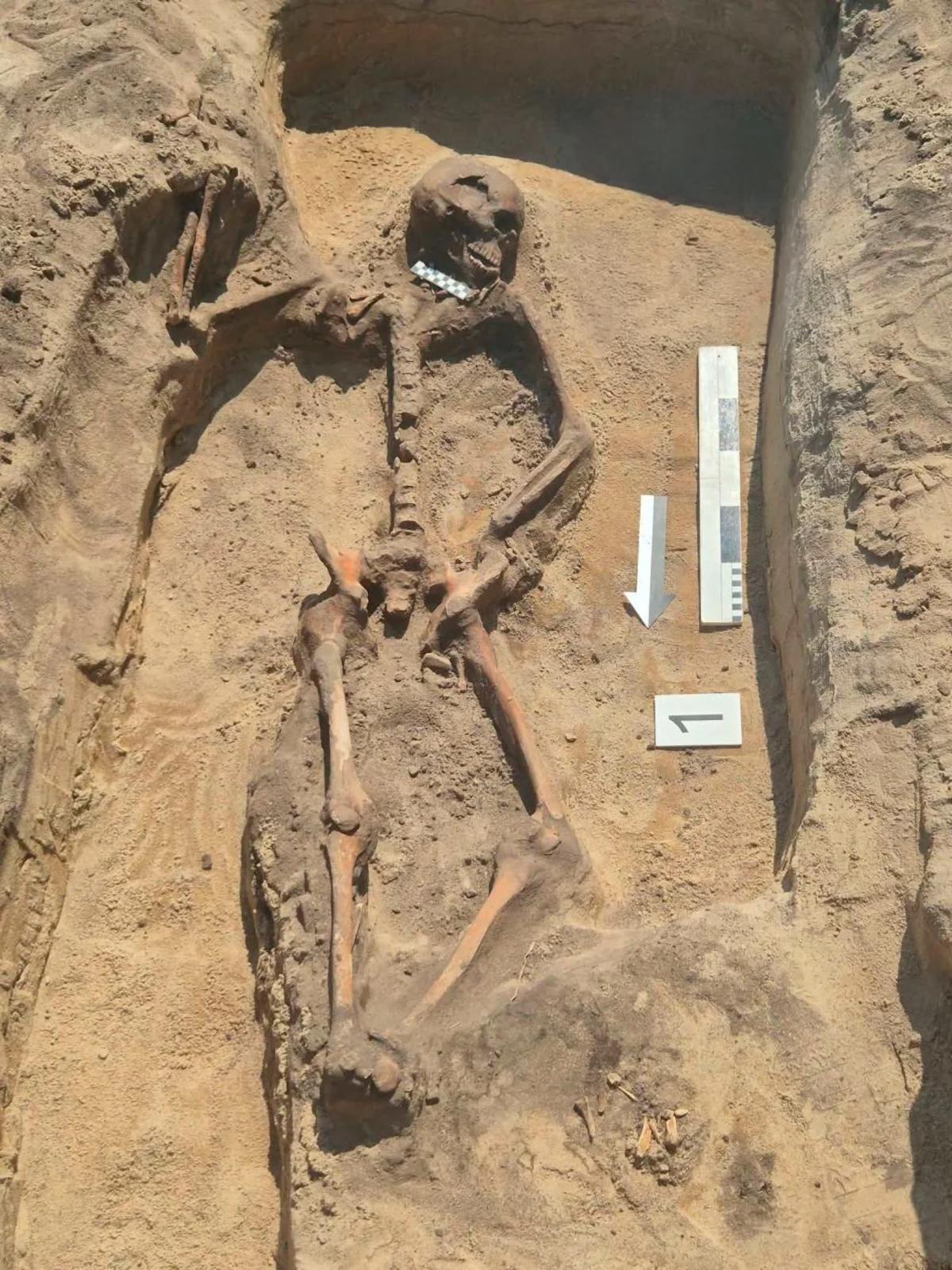 Stone Age Warrior Found Beneath Roman Cemetery Had Necklace of Predator Teeth