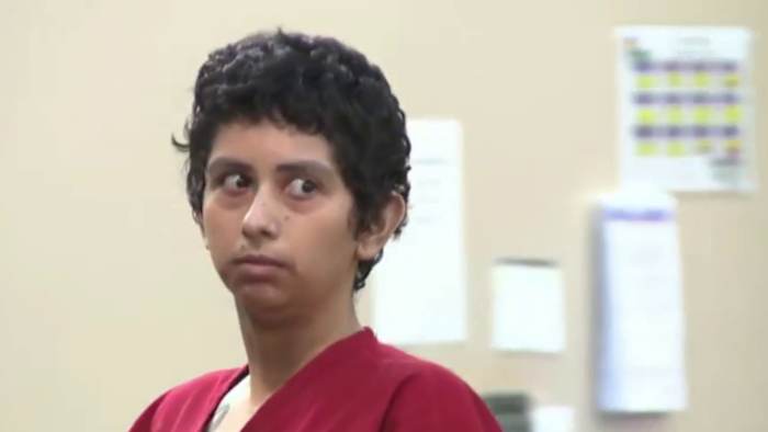 CPS report details mental health concerns before Marlene Vidal was charged in children’s deaths