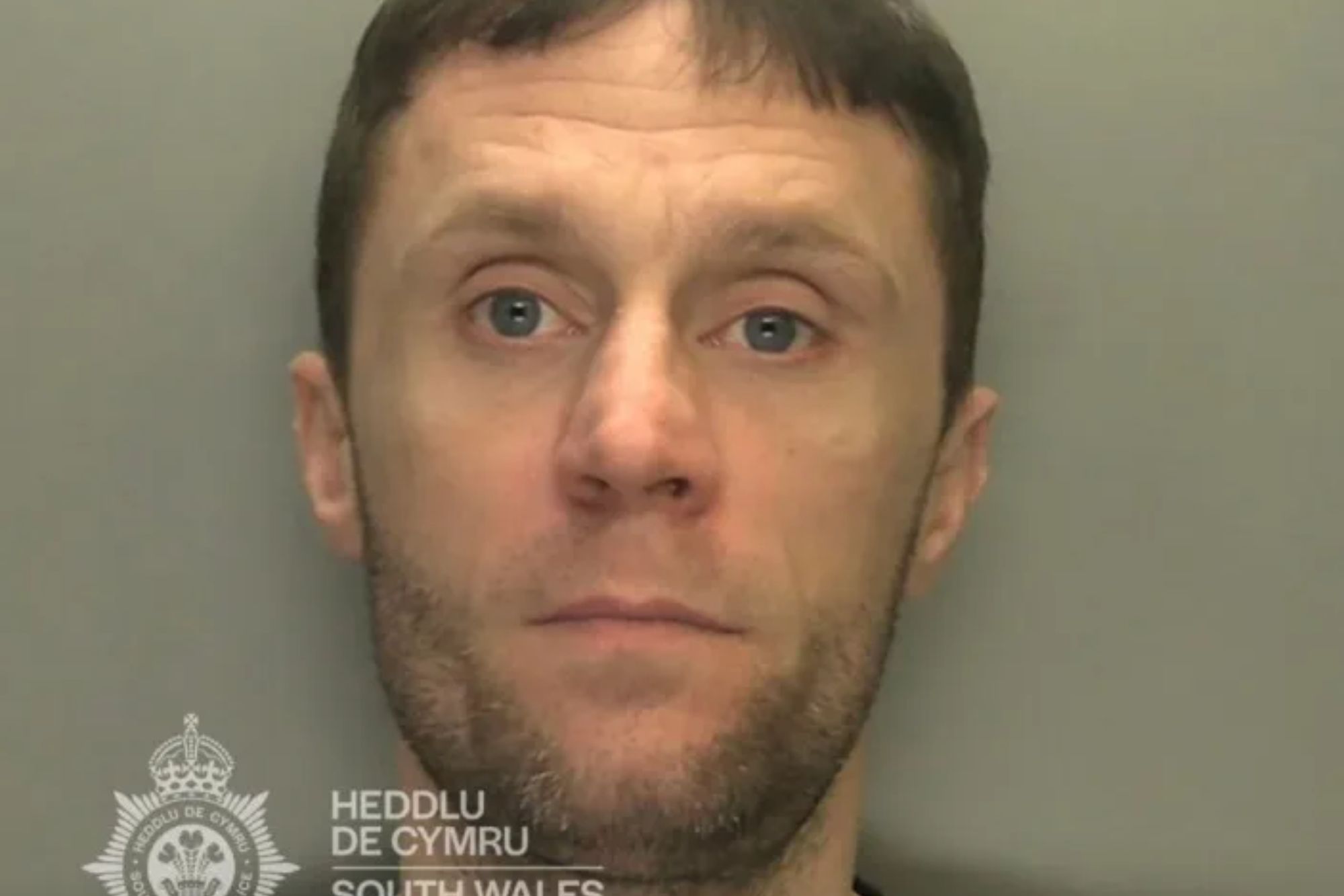 Moment police ram driver, 35, off road and cuff him after 3 week ‘crime spree’ saw thief steal cars, coffee & whiskey