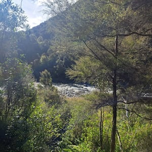 Injured mother and three children rescued from Kaweka Forest Park
