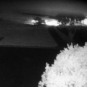 Driver tears through Whangaparāoa College grounds, razes bird nesting area