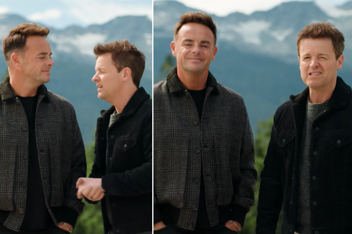 Ant and Dec's I'm A Celebrity spin-off hit by bear horror as woman savaged near ITV filming location