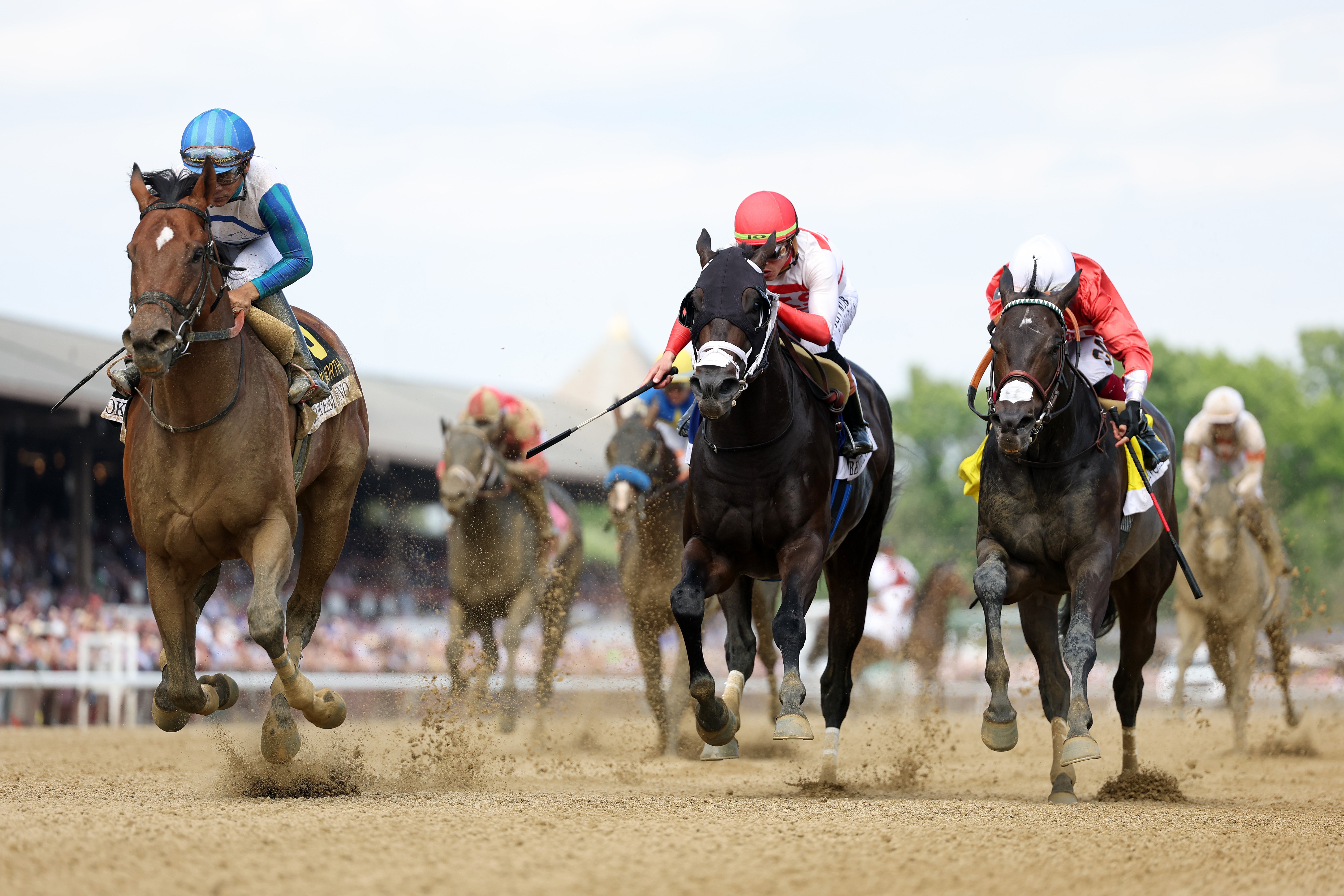 Tragedy at Saratoga as up-and-coming two-year-old race horse is euthanized following training injury
