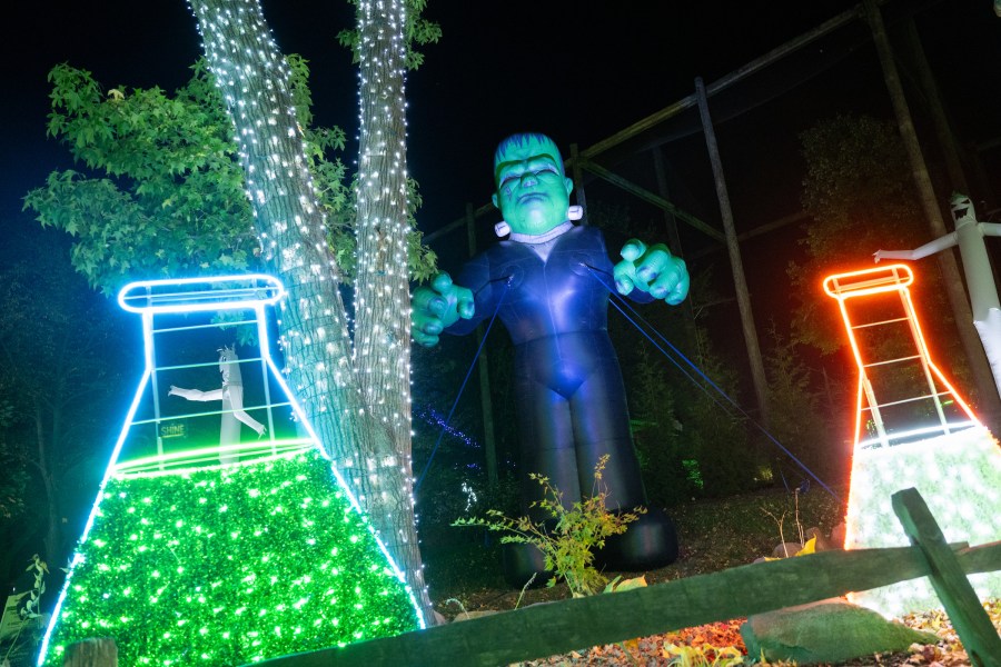 Boo at the Zoo is back this year; here's what's new