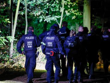 Police arrest suspect in Germany power grid attacks after dayslong search