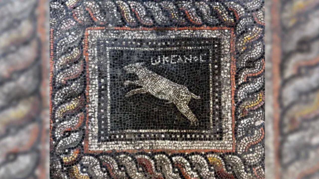 Archaeologists uncover Roman mosaic of cat Emerald and dog Ocean