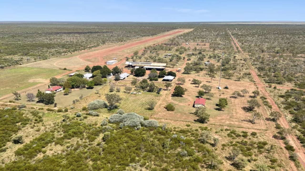 $40m cattle station resells for $26m after planned carbon project falls through